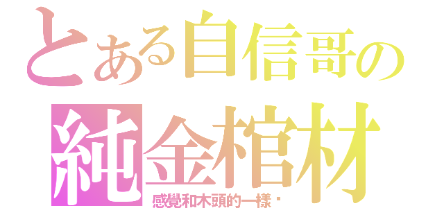 とある自信哥の純金棺材（感覺和木頭的一樣啊）