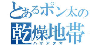 とあるポン太の乾燥地帯（ハゲアタマ）