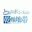 とあるポン太の乾燥地帯（ハゲアタマ）