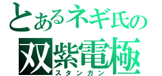 とあるネギ氏の双紫電極（スタンガン）