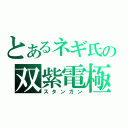 とあるネギ氏の双紫電極（スタンガン）