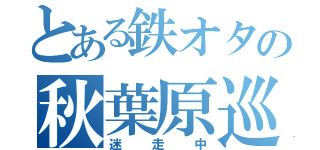 とある鉄オタの秋葉原巡り（迷走中）