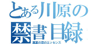 とある川原の禁書目録（真夏の恋のエッセンス）