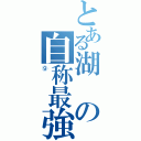 とある湖の自称最強（⑨）