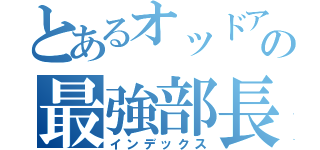 とあるオッドアイの最強部長（インデックス）