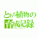 とある植物の育成記録（アカシックレコード）