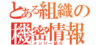 とある組織の機密情報（メンバー紹介）