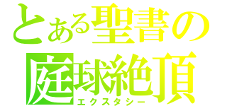 とある聖書の庭球絶頂（エクスタシー）