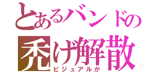 とあるバンドの禿げ解散（ビジュアルが）