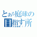 とある庭球の目指す所（大会優勝！！）