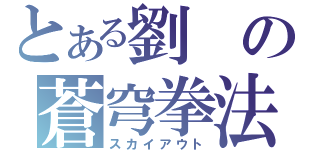 とある劉の蒼穹拳法（スカイアウト）