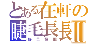 とある在軒の睫毛長長Ⅱ（好苦惱耶）