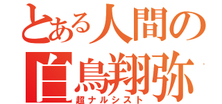 とある人間の白鳥翔弥（超ナルシスト）