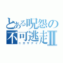 とある呪怨の不可逃走Ⅱ（ニガサナイ）