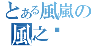 とある風嵐の風之貓（）