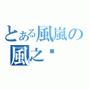 とある風嵐の風之貓（）