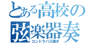 とある高校の弦楽器奏者（コントラバス弾き）