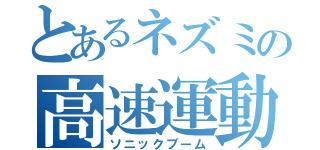 とあるネズミの高速運動（ソニックブーム）