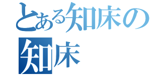 とある知床の知床（）