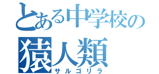 とある中学校の猿人類（サルゴリラ）