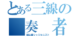 とある三線の　奏　者（初心者シャミセニスト）