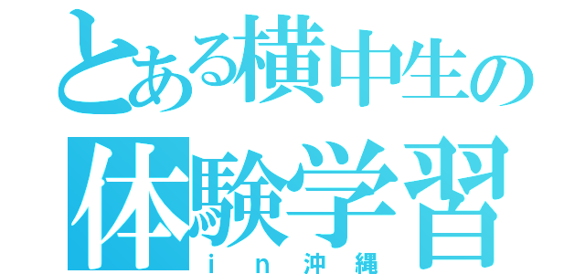 とある横中生の体験学習（ｉｎ沖縄）