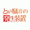 とある騒音の発生装置（スピーカーガール）