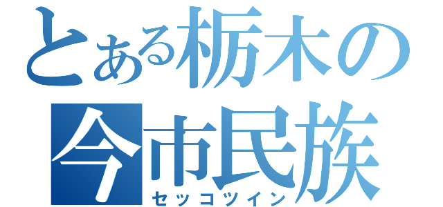 とある栃木の今市民族（セッコツイン）