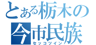 とある栃木の今市民族（セッコツイン）