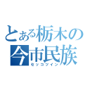 とある栃木の今市民族（セッコツイン）