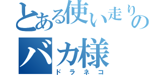 とある使い走りのバカ様（ドラネコ）