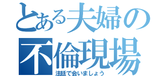 とある夫婦の不倫現場（法廷で会いましょう）