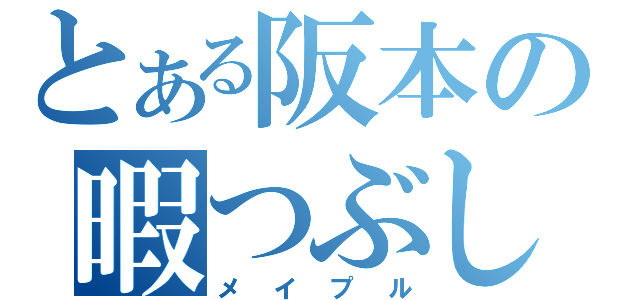 とある阪本の暇つぶし（メイプル）