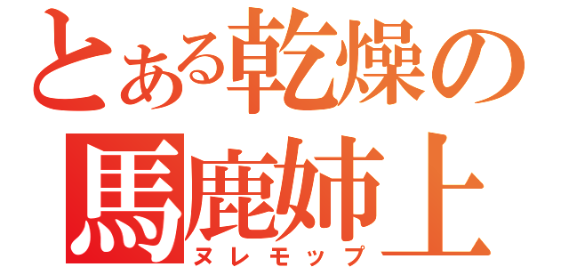 とある乾燥の馬鹿姉上（ヌレモップ）