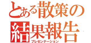 とある散策の結果報告（プレゼンテーション）