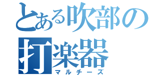 とある吹部の打楽器（マルチーズ）