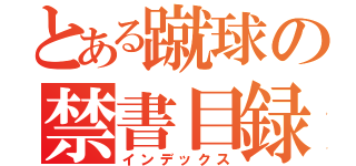 とある蹴球の禁書目録（インデックス）