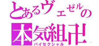 とあるヴェゼルの本気組卍（バイセクシャル）