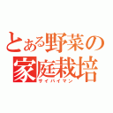 とある野菜の家庭栽培（サイバイマン）