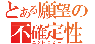 とある願望の不確定性（エントロピー）