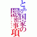 とある国家の機密事項（シークレット）