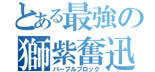 とある最強の獅紫奮迅（パープルブロック）