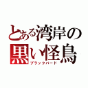 とある湾岸の黒い怪鳥（ブラックバード）