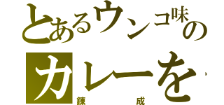 とあるウンコ味のカレーを（錬成）