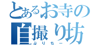 とあるお寺の自撮り坊や（ぷりちー）