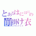 とあるはにはにの前掛け衣（エプロンドレス）