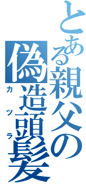 とある親父の偽造頭髪（カツラ）