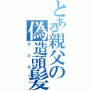 とある親父の偽造頭髪（カツラ）