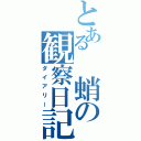 とある　蛸の観察日記（ダイアリー）