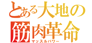 とある大地の筋肉革命（マッスルパワー）